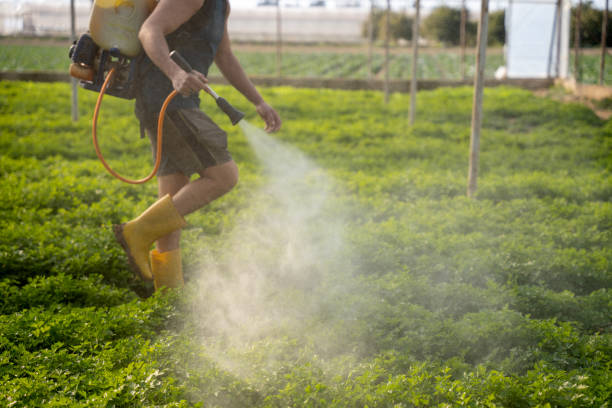Best Pest Removal Services  in Carrollton, MO
