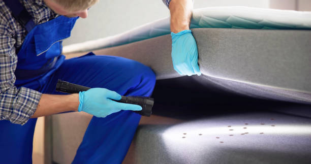 Best Affordable Exterminators  in Carrollton, MO