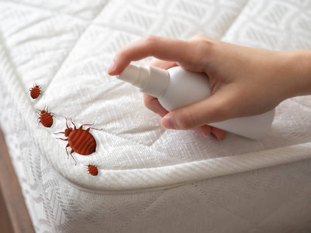 Best Cockroach Control Services  in Carrollton, MO