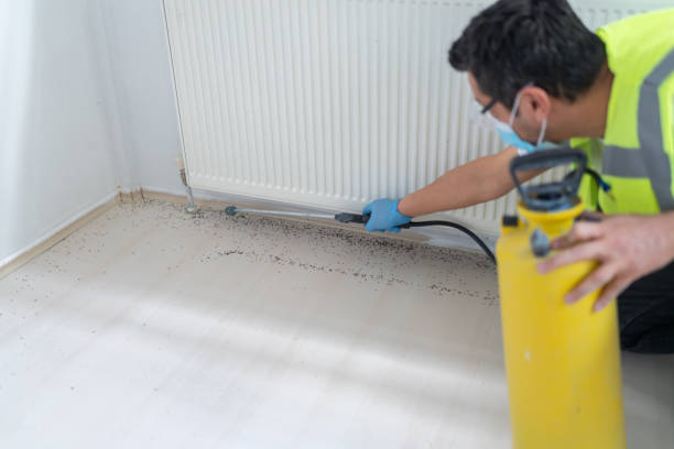 Best Affordable Pest Control Services  in Carrollton, MO
